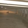 2007-08-26_02-11-21