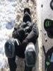ebw_2004-02-01_012