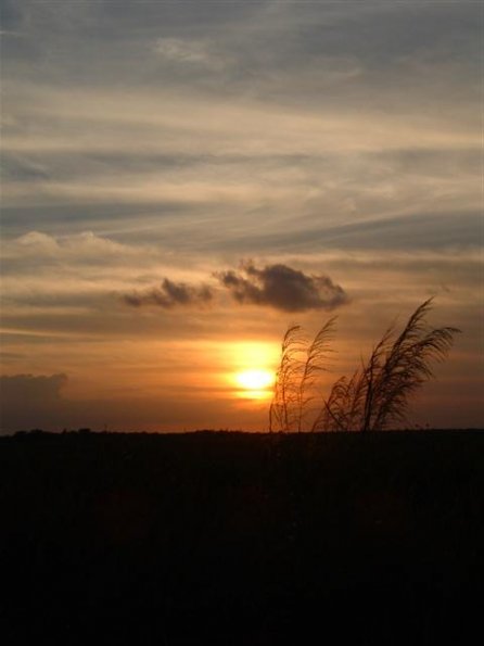 sync081